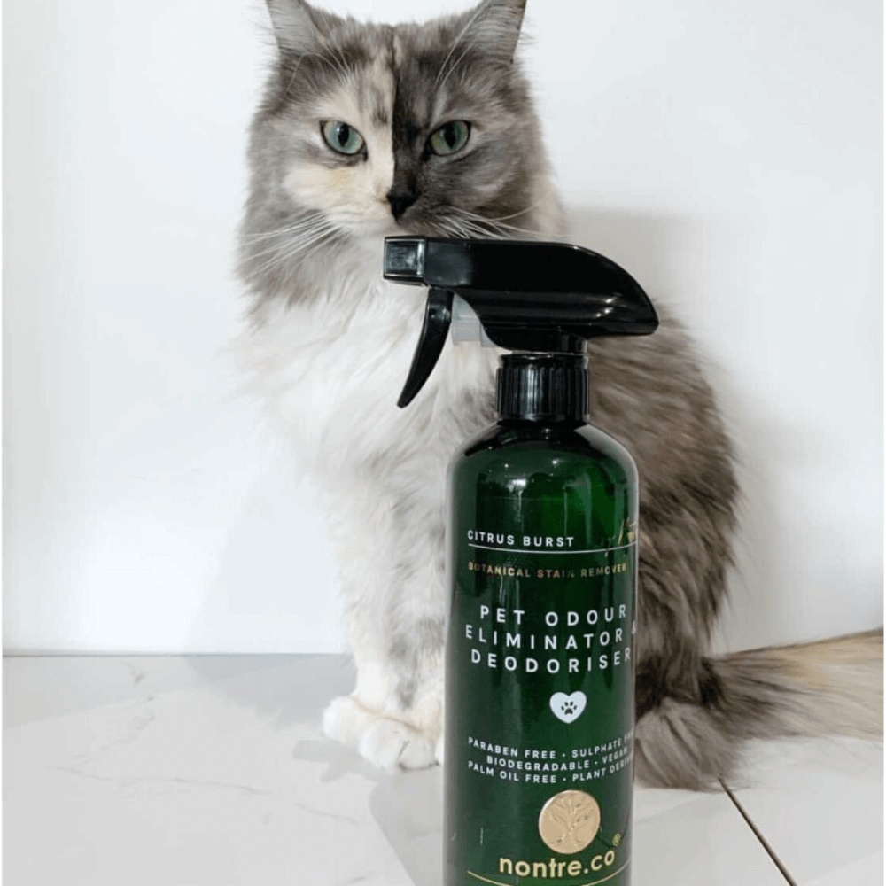 Pet Odour Eliminator And Odouriser Citrus Burst 6 Pet Odour Eliminator And Odouriser Citrus Burst