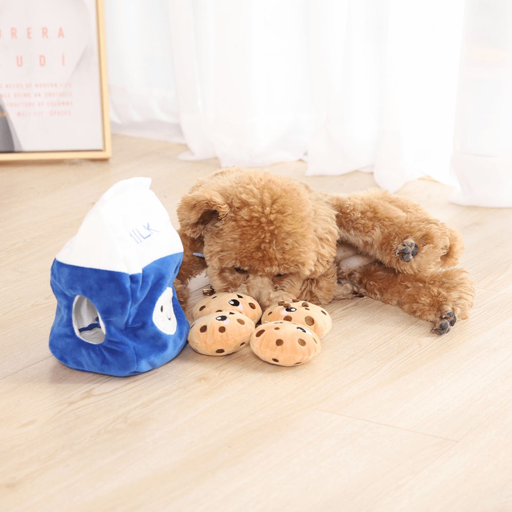 Hide And Seek Bikkies 4 Hide And Seek Bikkies