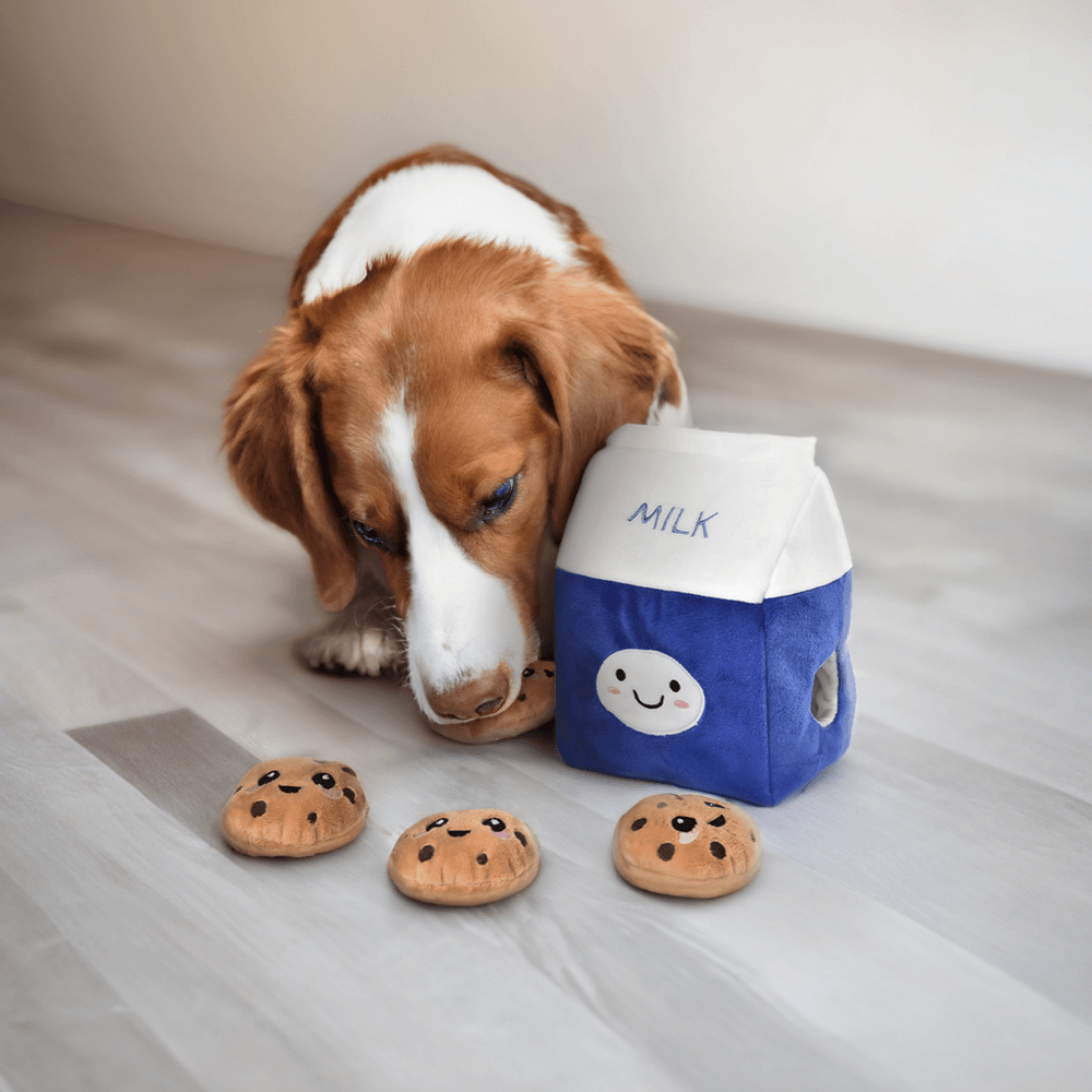 Hide And Seek Bikkies 6 Hide And Seek Bikkies