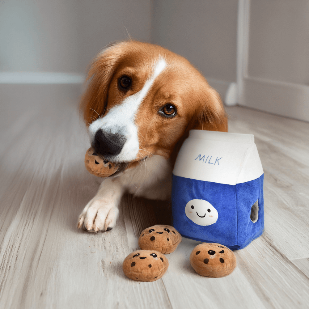 Hide And Seek Bikkies 7 Hide And Seek Bikkies