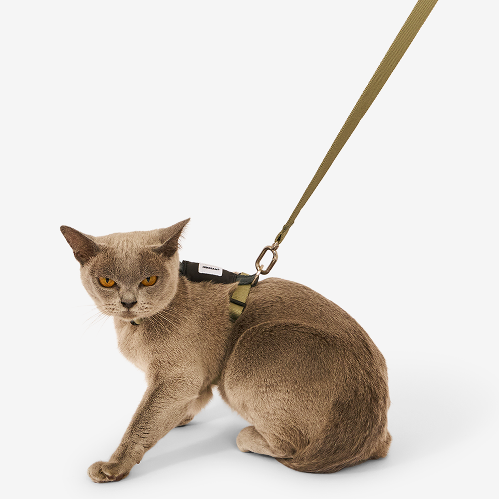 I Shaped Cat Harness And Leash Set Green