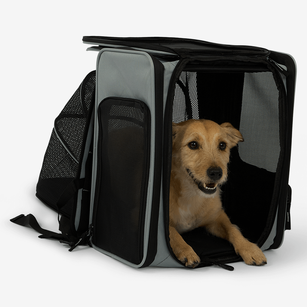 Pet Backback With Expandable Front Pouch 10 Pet Backback With Expandable Front Pouch