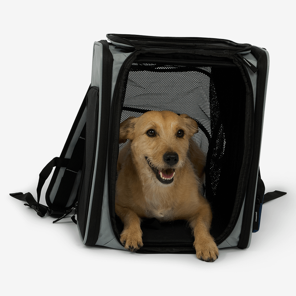 Pet Backback With Expandable Front Pouch 9 Pet Backback With Expandable Front Pouch