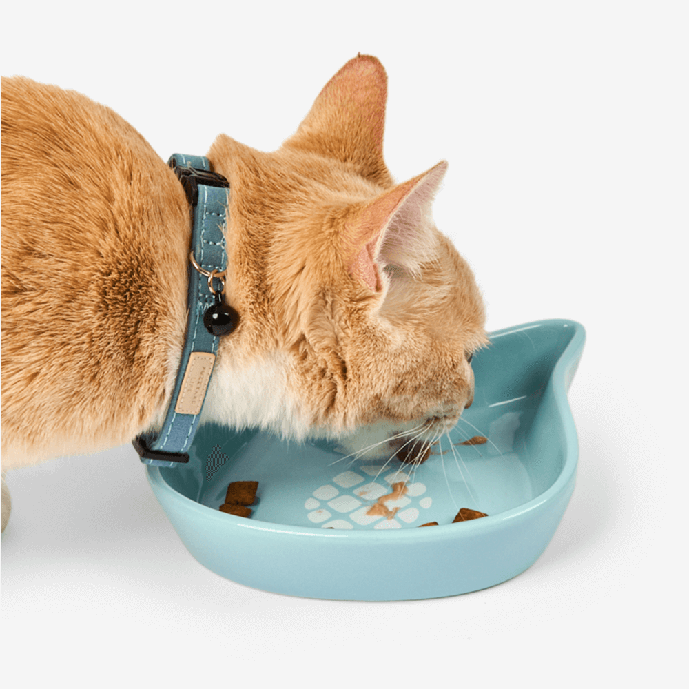 Cat Shaped Pineapple Ceramic Bowl in Blue 4 Cat Shaped Pineapple Ceramic Bowl in Blue