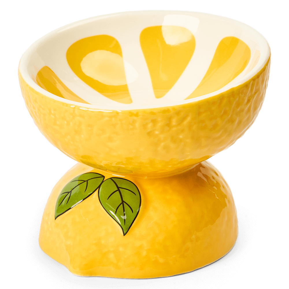 Lemon Ceramic Pet Bowl 1 Lemon Ceramic Pet Bowl