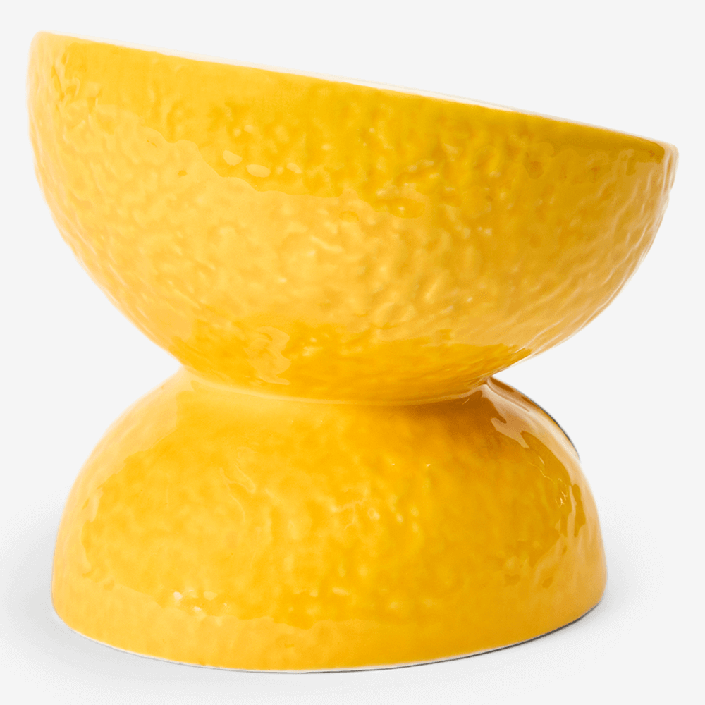 Lemon Ceramic Pet Bowl 2 Lemon Ceramic Pet Bowl