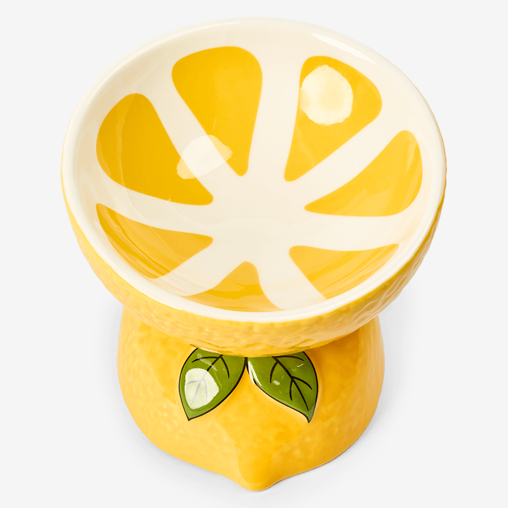 Lemon Ceramic Pet Bowl 3 Lemon Ceramic Pet Bowl