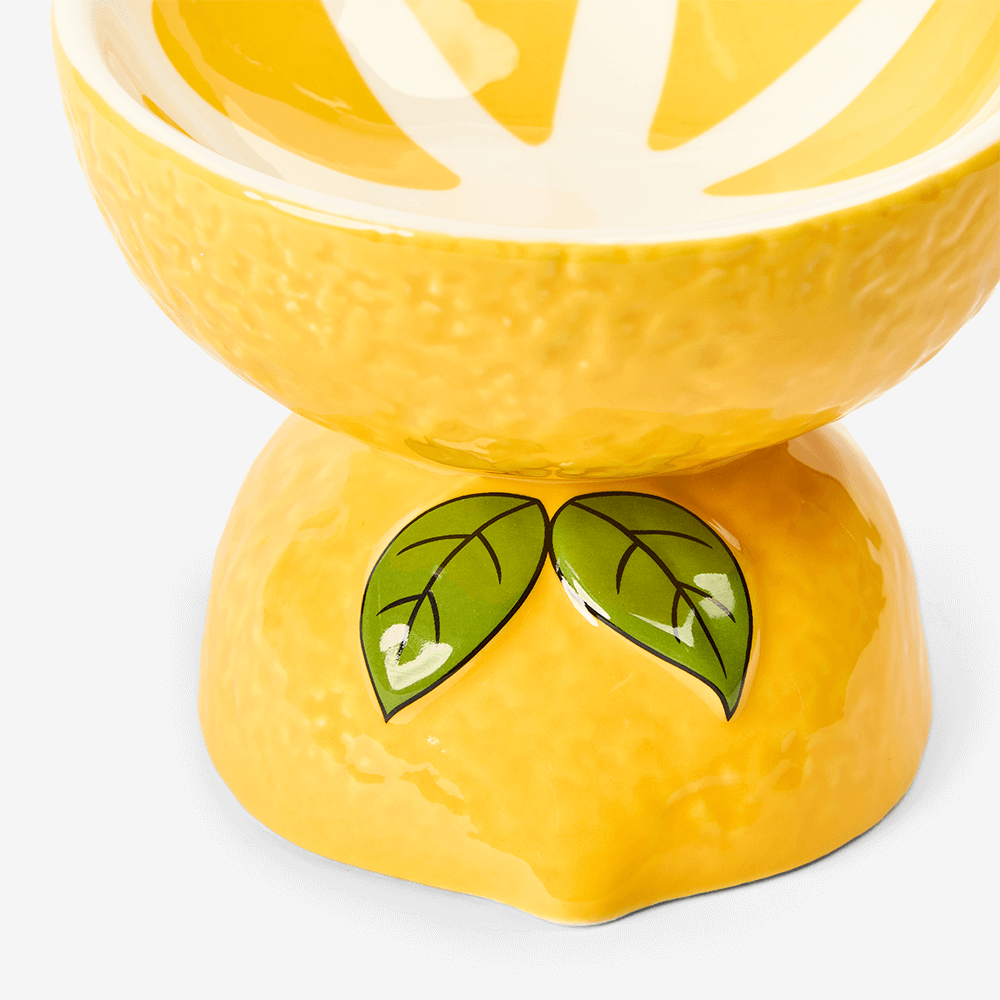 Lemon Ceramic Pet Bowl 4 Lemon Ceramic Pet Bowl