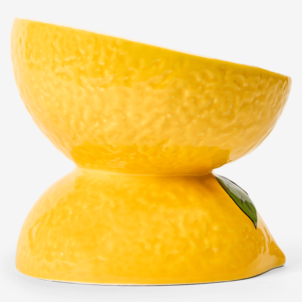 Lemon Ceramic Pet Bowl 5 Lemon Ceramic Pet Bowl