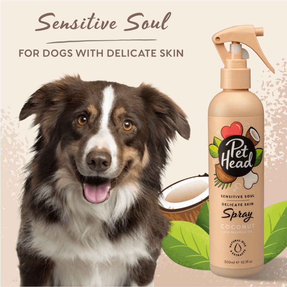 Sensitive Soul Coconut Grooming Spray For Dogs 3 Sensitive Soul Coconut Grooming Spray For Dogs