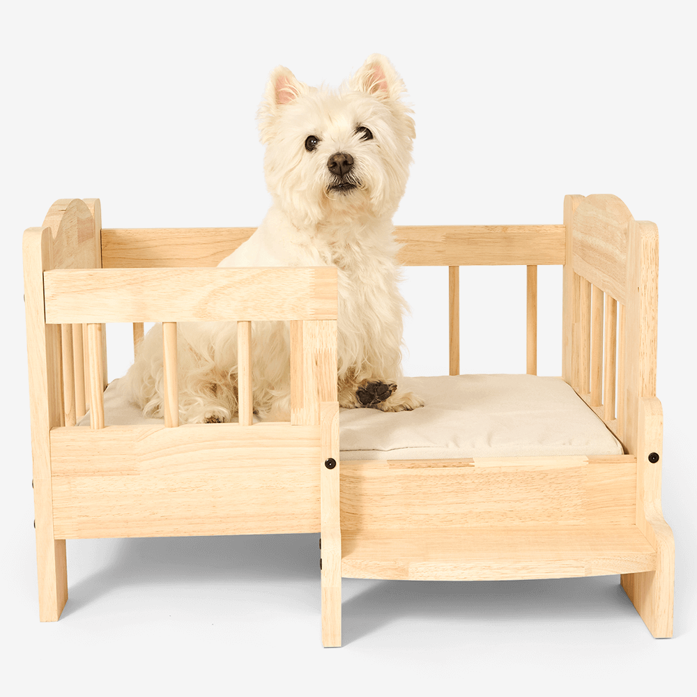 Elevated Pet Bed With Stairs 1 Elevated Pet Bed With Stairs
