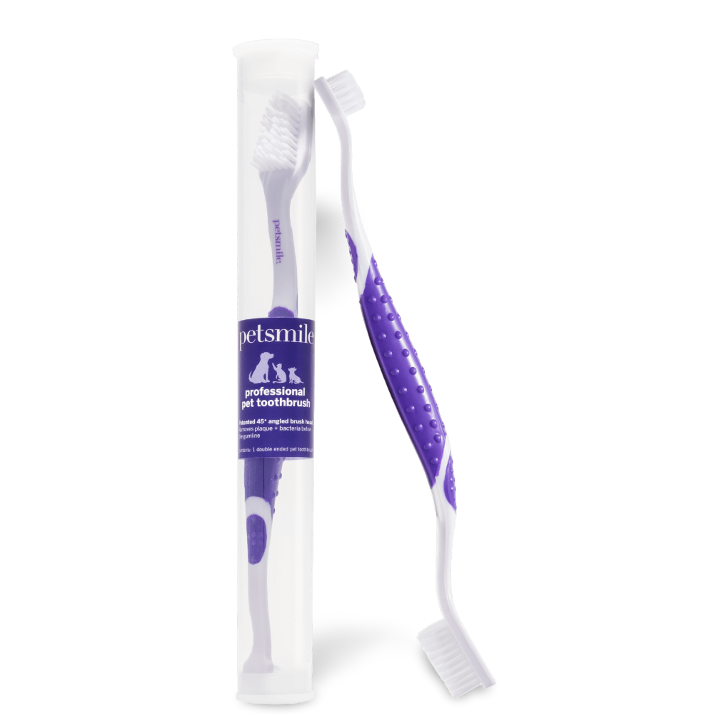Professional Toothbrush For Dogs Dual Ended 1 Professional Toothbrush For Dogs Dual Ended