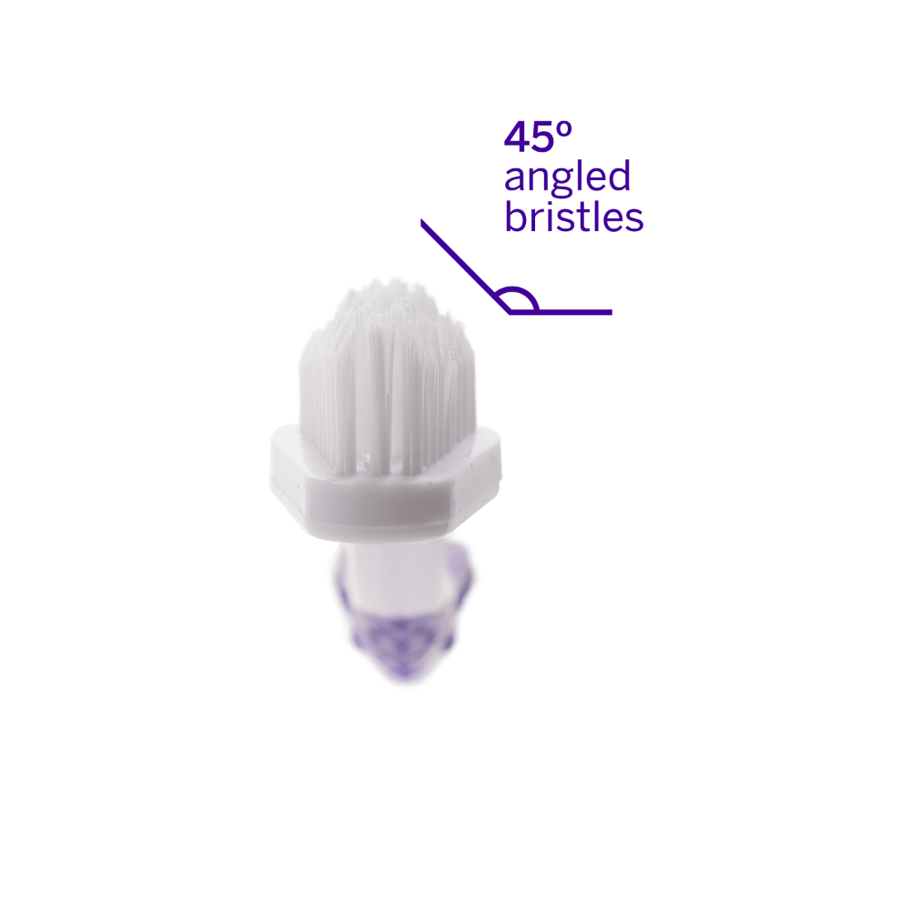 Professional Toothbrush For Dogs Dual Ended 3 Professional Toothbrush For Dogs Dual Ended
