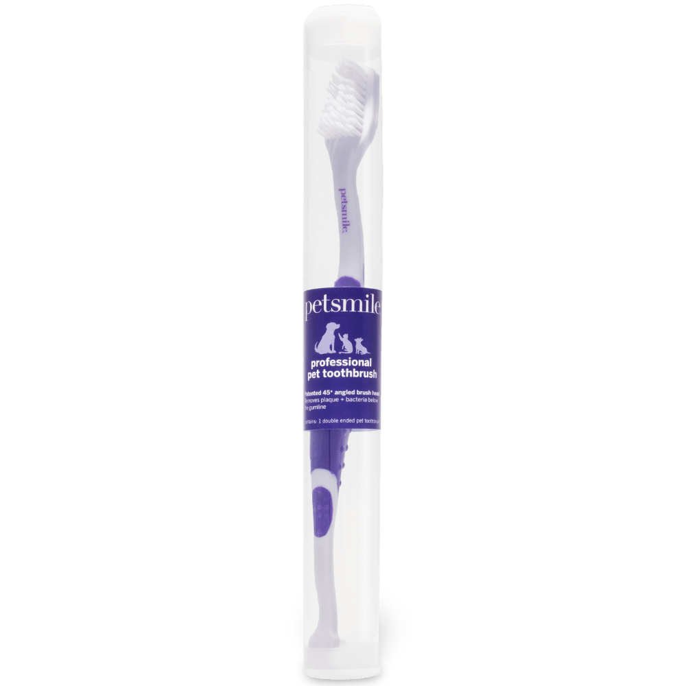 Professional Toothbrush For Dogs Dual Ended 4 Professional Toothbrush For Dogs Dual Ended