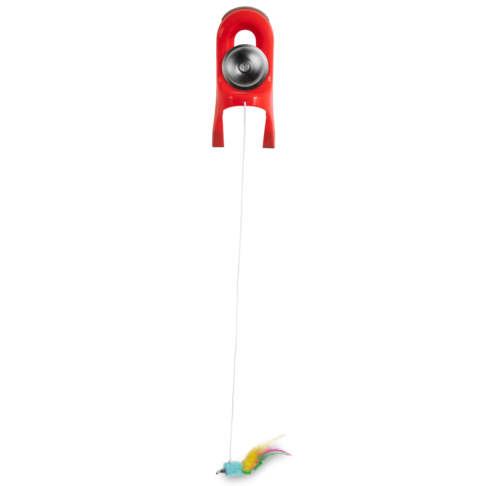 Jw Springstring Cat Toy 1 Jw Springstring Cat Toy