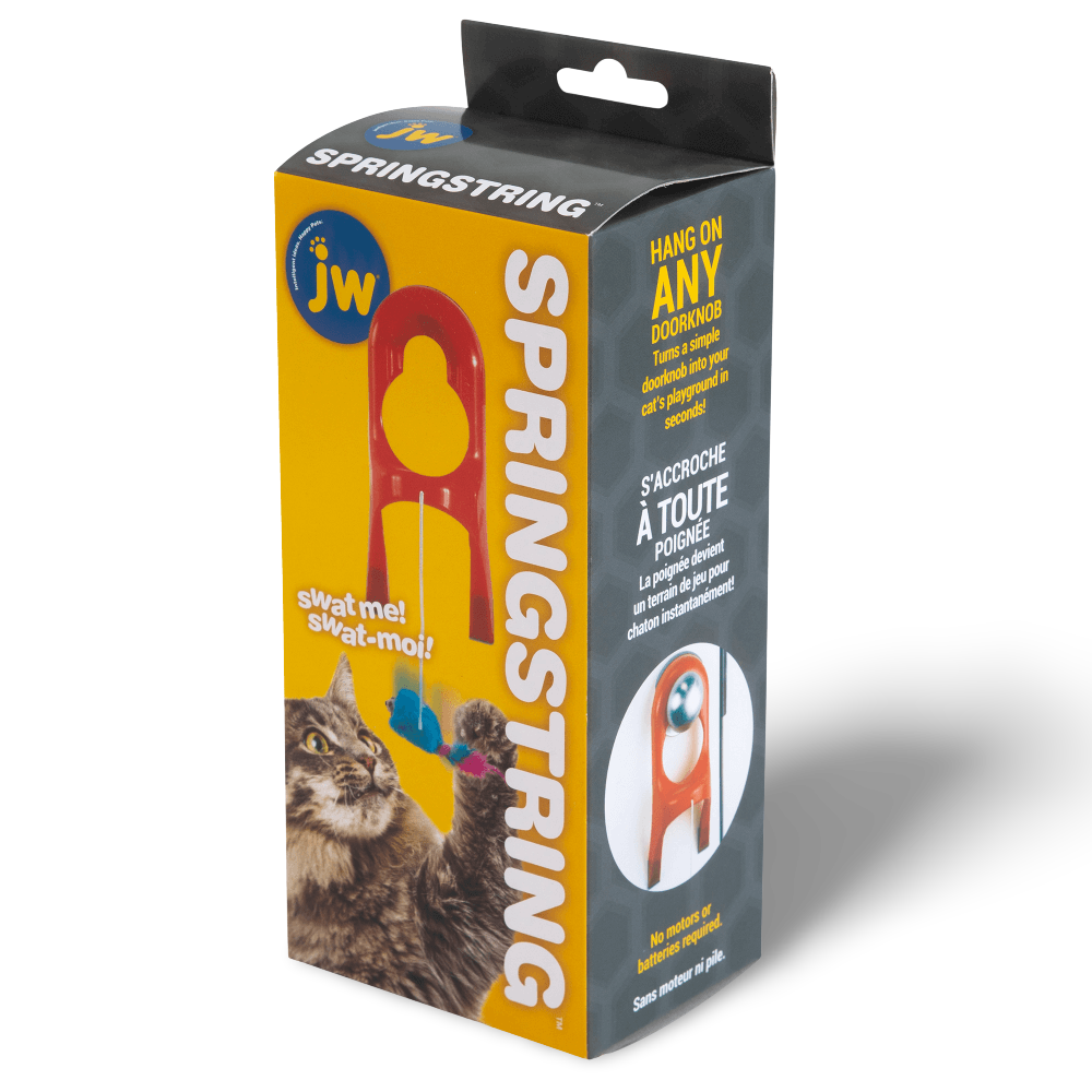 Jw Springstring Cat Toy 2 Jw Springstring Cat Toy