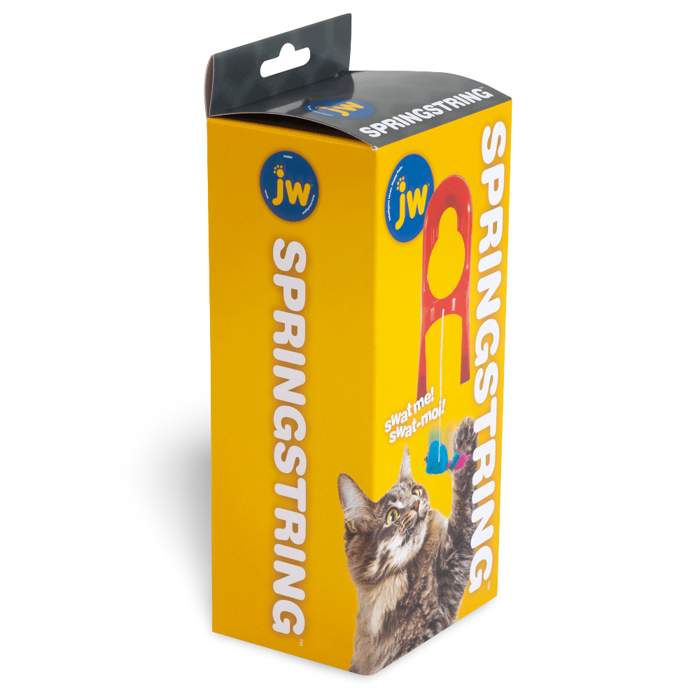 Jw Springstring Cat Toy 3 Jw Springstring Cat Toy