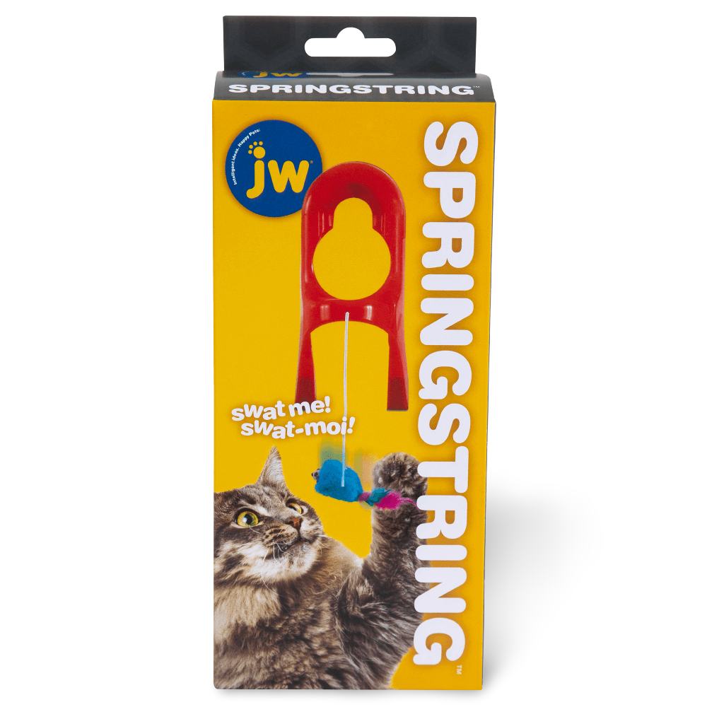 Jw Springstring Cat Toy 4 Jw Springstring Cat Toy