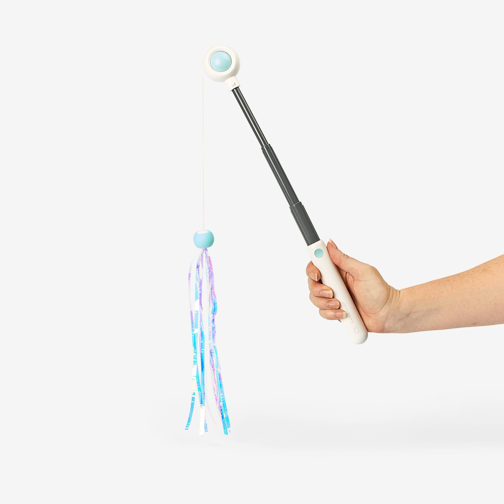 Retractable Cat Wand With Laser Blue 3 Retractable Cat Wand With Laser Blue