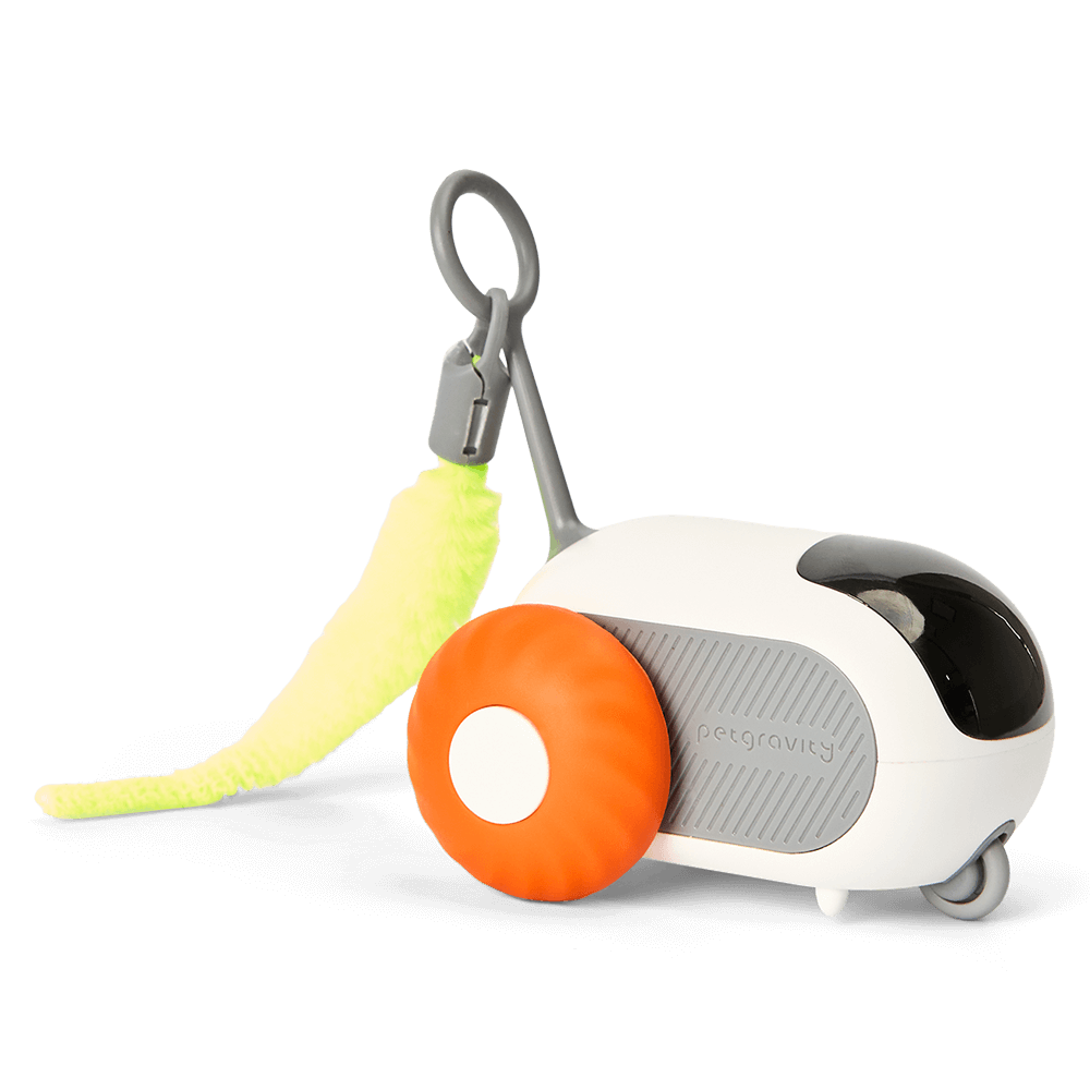 Interactive Smart Cat Toy Orange 1 Interactive Smart Cat Toy Orange
