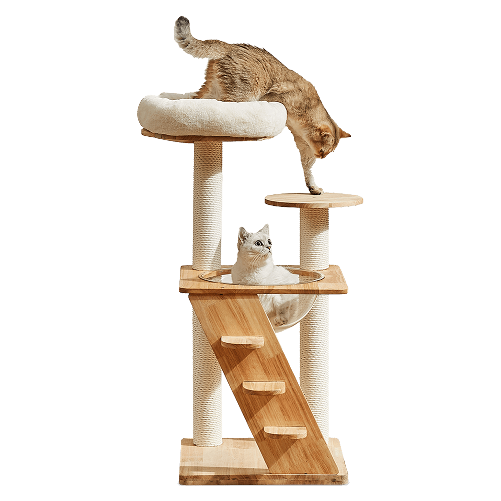 Cat Tree With Hammock And Stairs