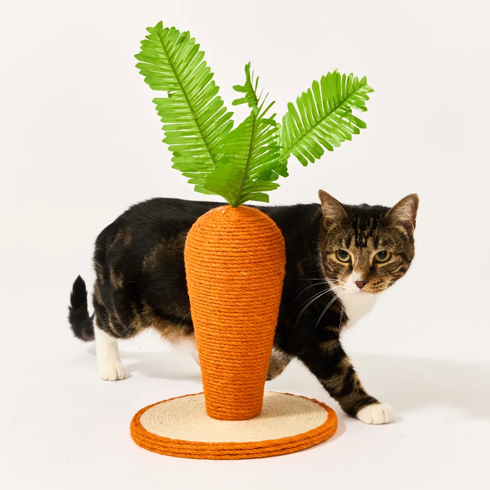 Carrot Shaped Jute and Sisal Cat Scratching Post 2 Carrot Shaped Jute and Sisal Cat Scratching Post