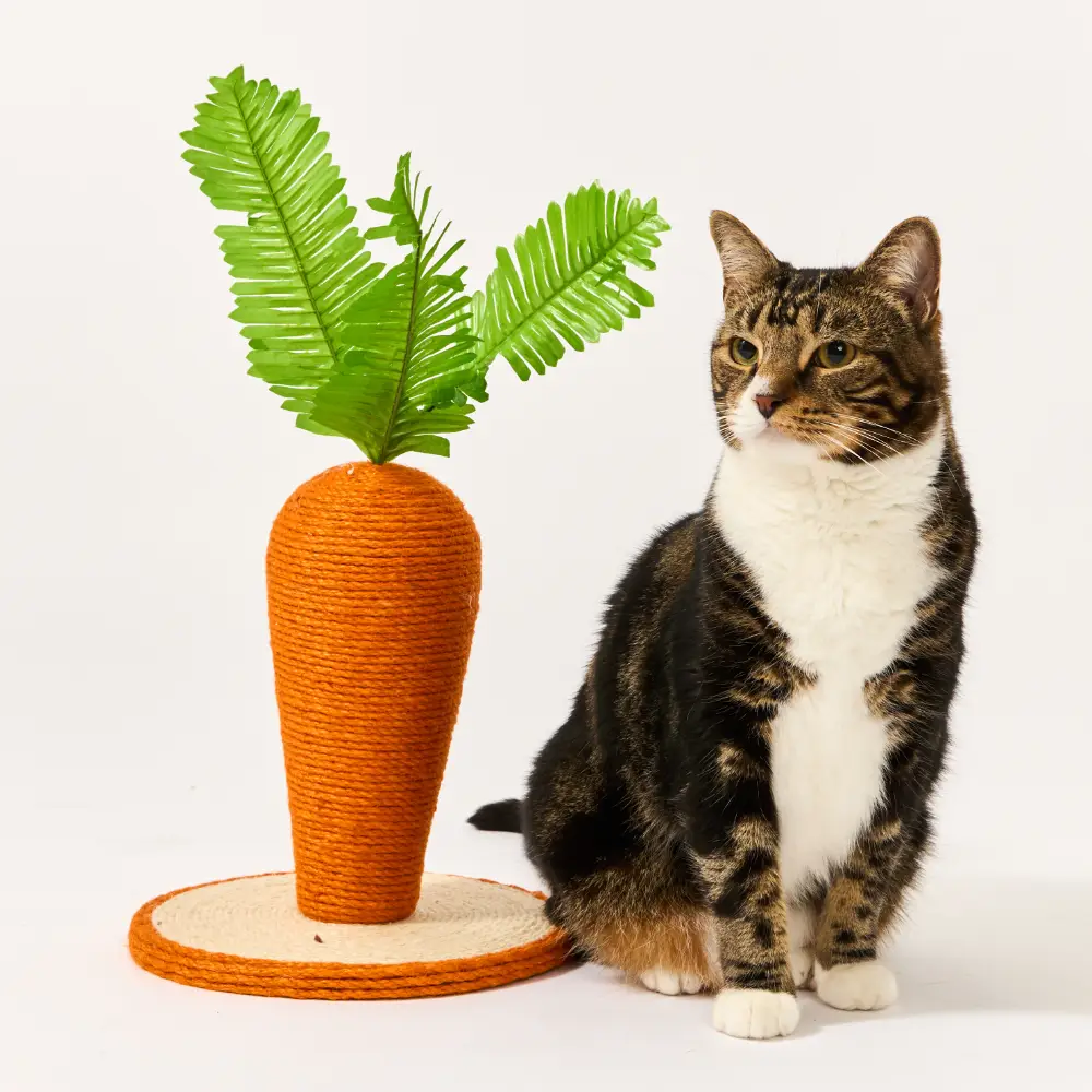 Carrot Shaped Jute and Sisal Cat Scratching Post 3 Carrot Shaped Jute and Sisal Cat Scratching Post