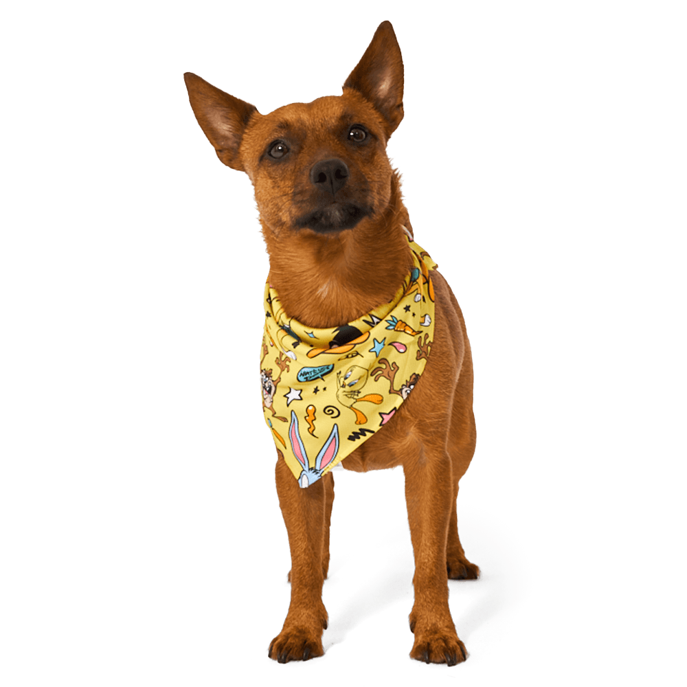 Looney Tunes Dog Bandana 1 Looney Tunes Dog Bandana