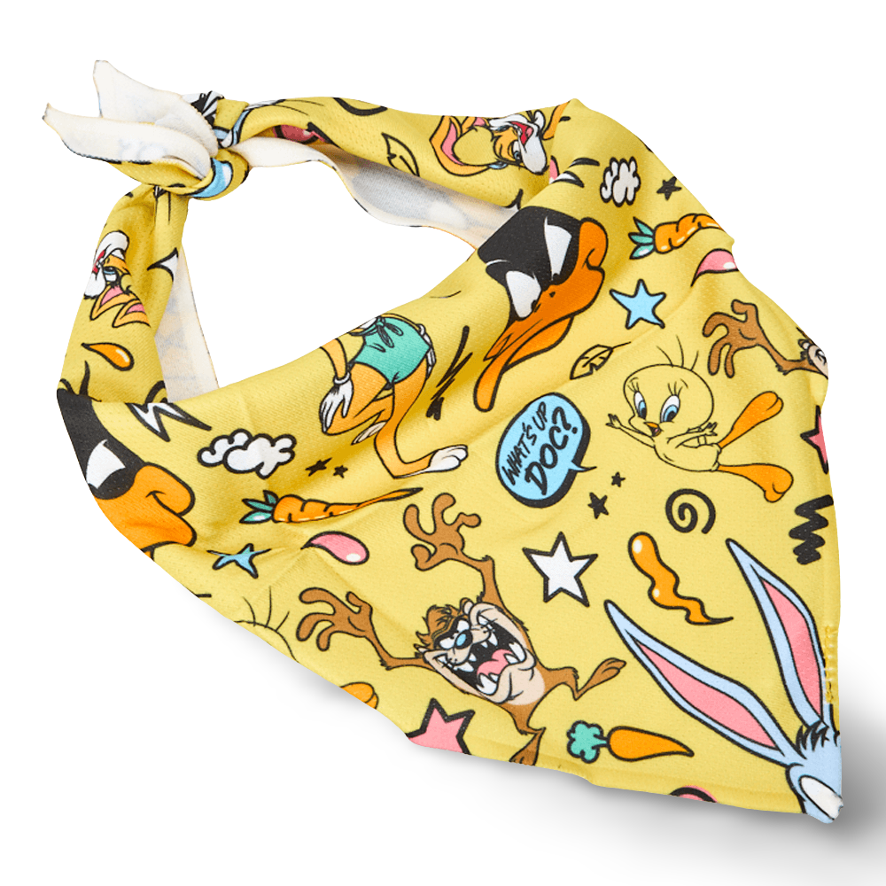 Looney Tunes Dog Bandana 2 Looney Tunes Dog Bandana