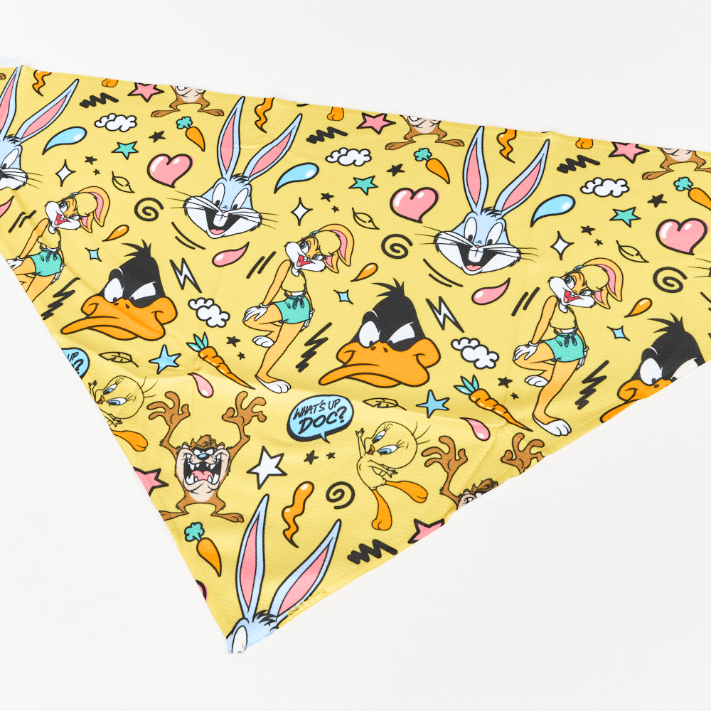 Looney Tunes Dog Bandana 3 Looney Tunes Dog Bandana