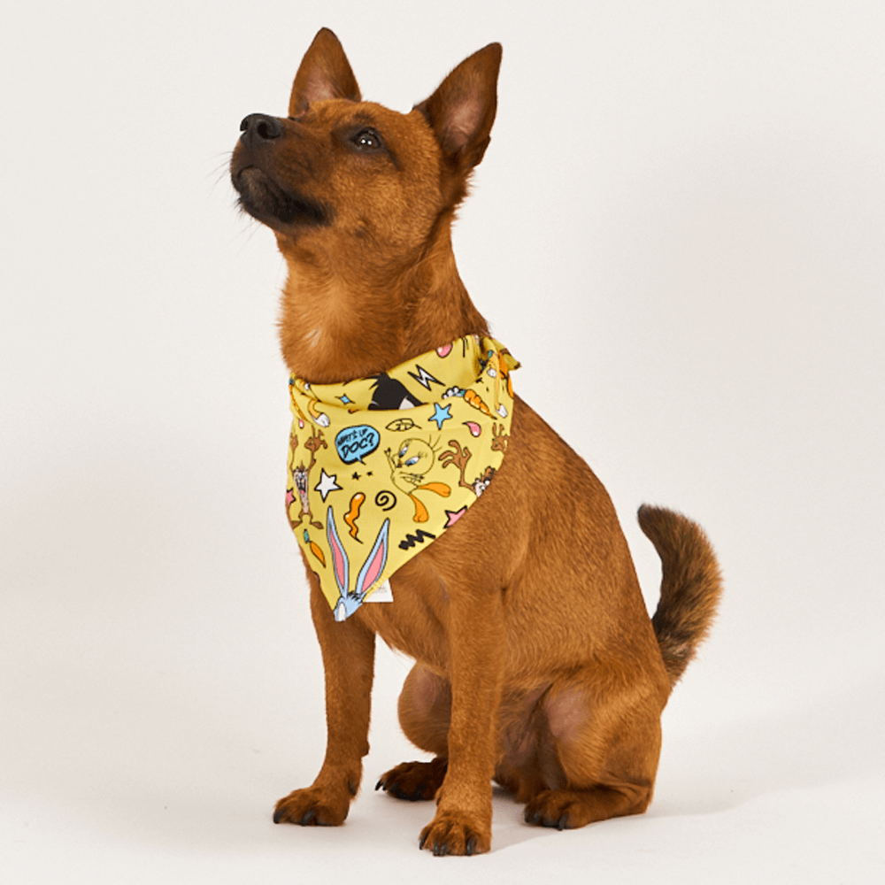 Looney Tunes Dog Bandana 4 Looney Tunes Dog Bandana