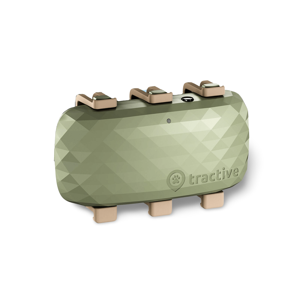 Gps 4 Dog Tracker Green