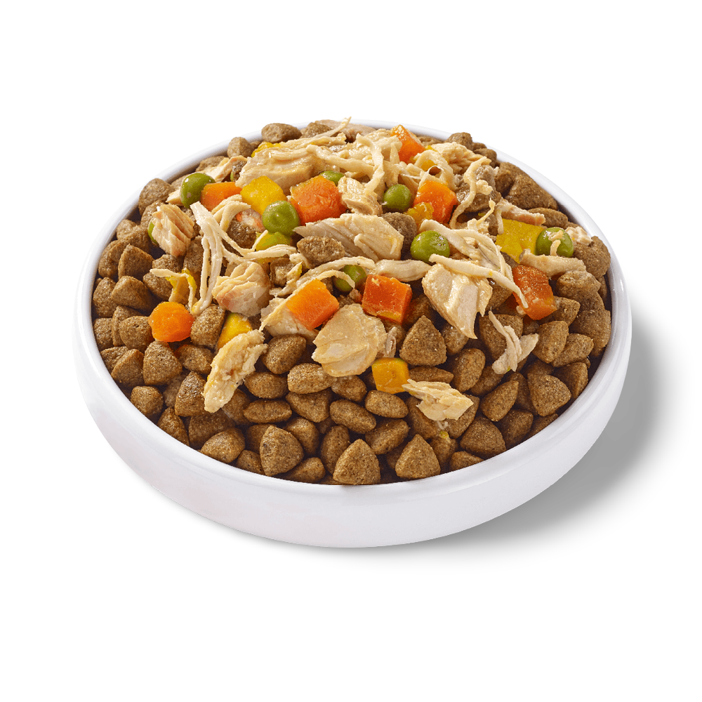 Taste Toppers Wet Dog Food Chicken Breast With Salmon And Veggies In Broth Tin 4 Taste Toppers Wet Dog Food Chicken Breast With Salmon And Veggies In Broth Tin