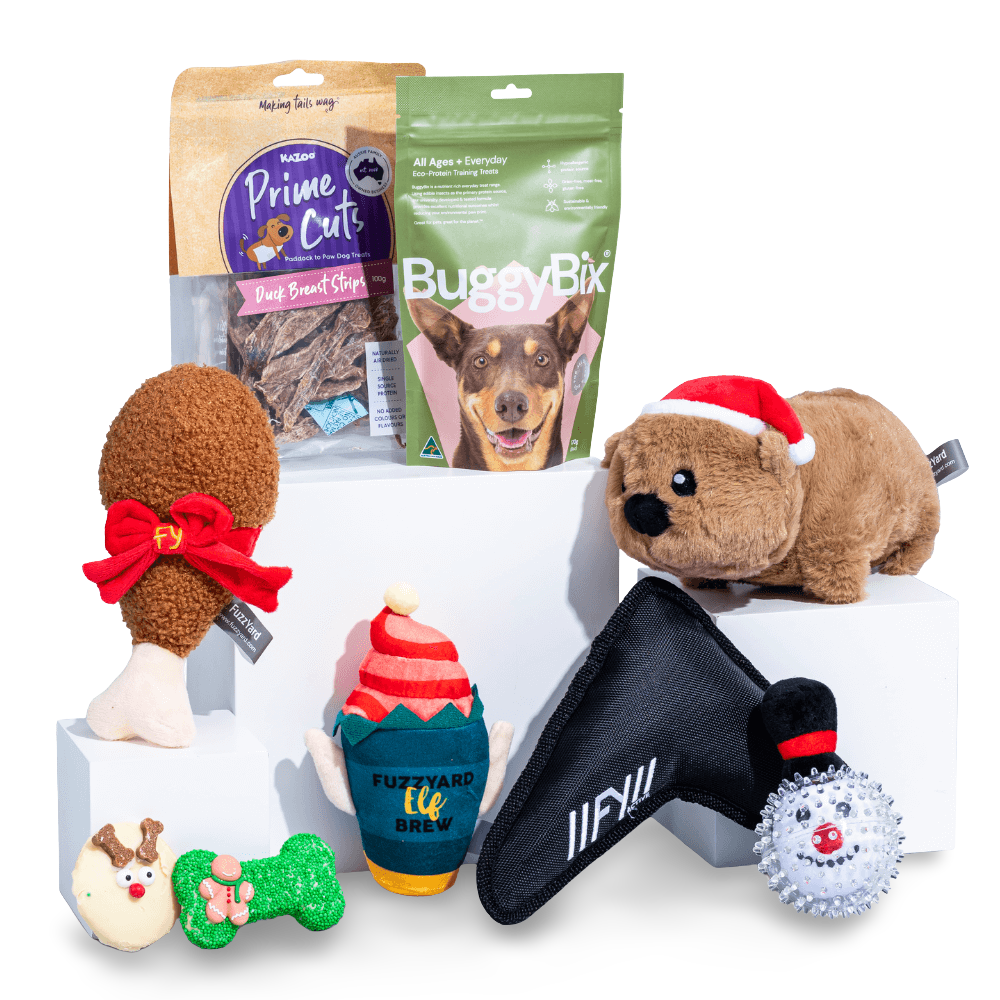 Secret Santa Little Dog Gift Box 1 Secret Santa Little Dog Gift Box