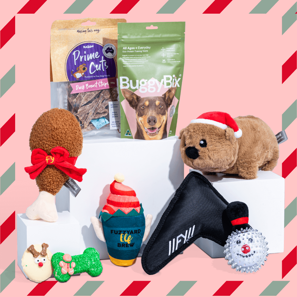 Secret Santa Little Dog Gift Box 2 Secret Santa Little Dog Gift Box