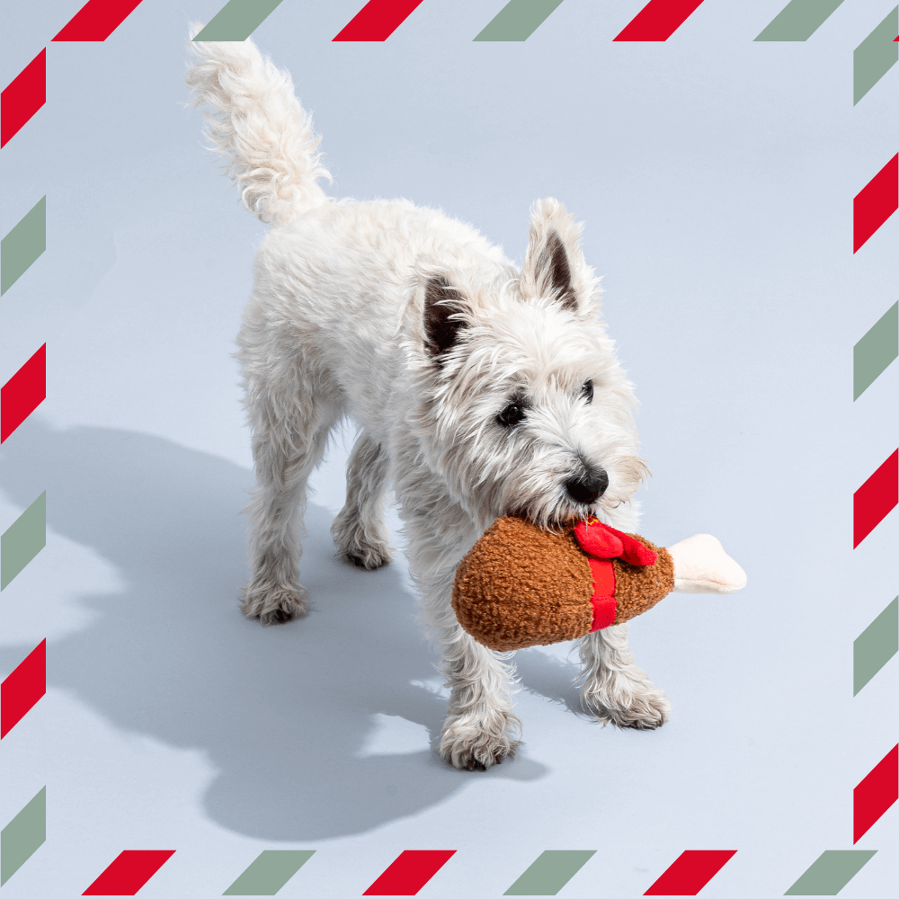 Secret Santa Little Dog Gift Box 3 Secret Santa Little Dog Gift Box