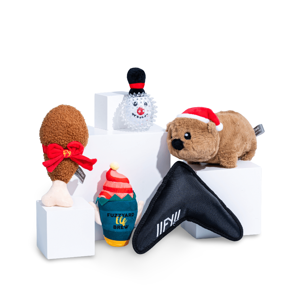 Secret Santa Little Dog Gift Box 4 Secret Santa Little Dog Gift Box