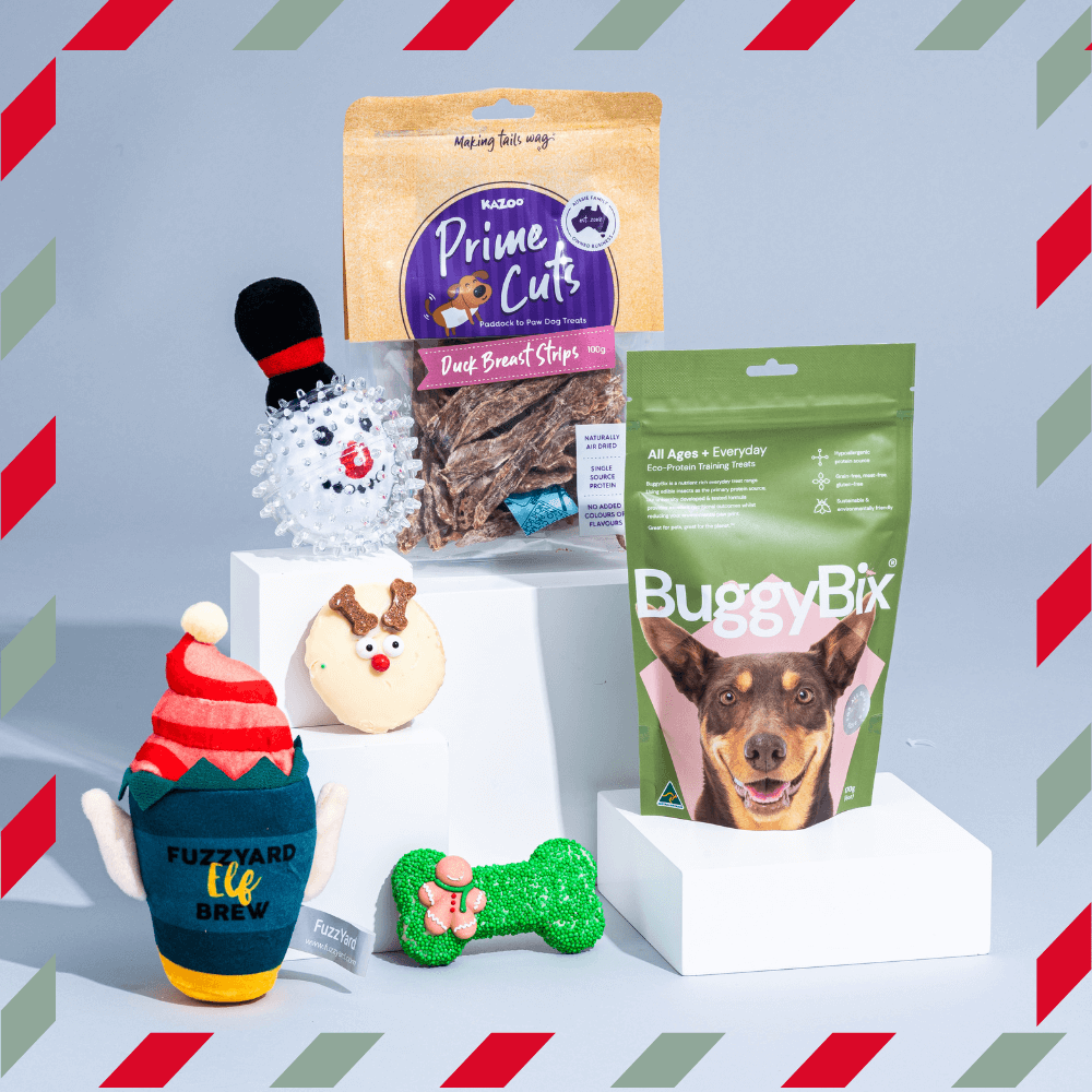 Secret Santa Little Dog Gift Box 5 Secret Santa Little Dog Gift Box