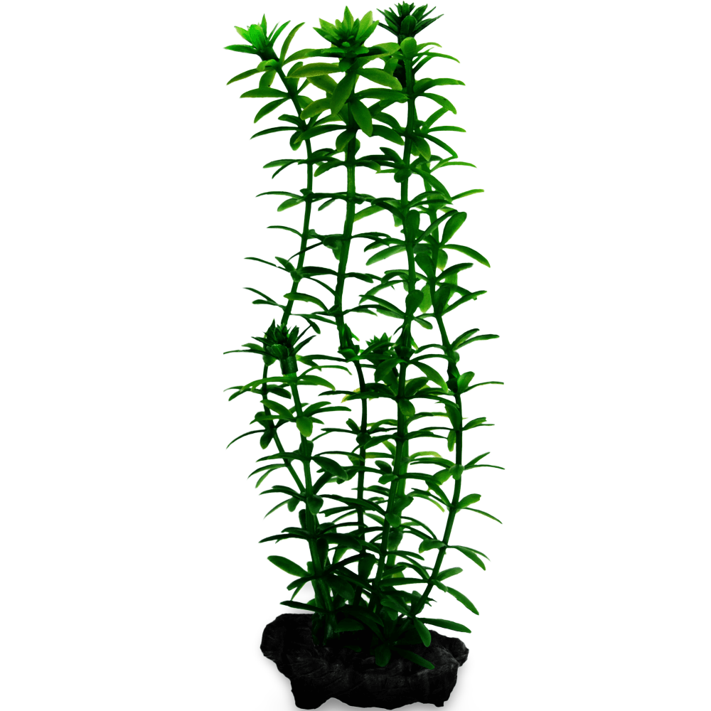 Decoart Plantastics Anacharis