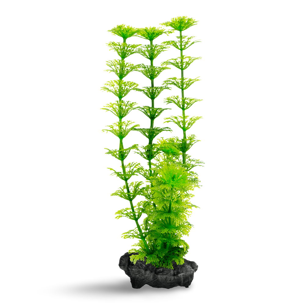 Decoart Plantastics Ambulia