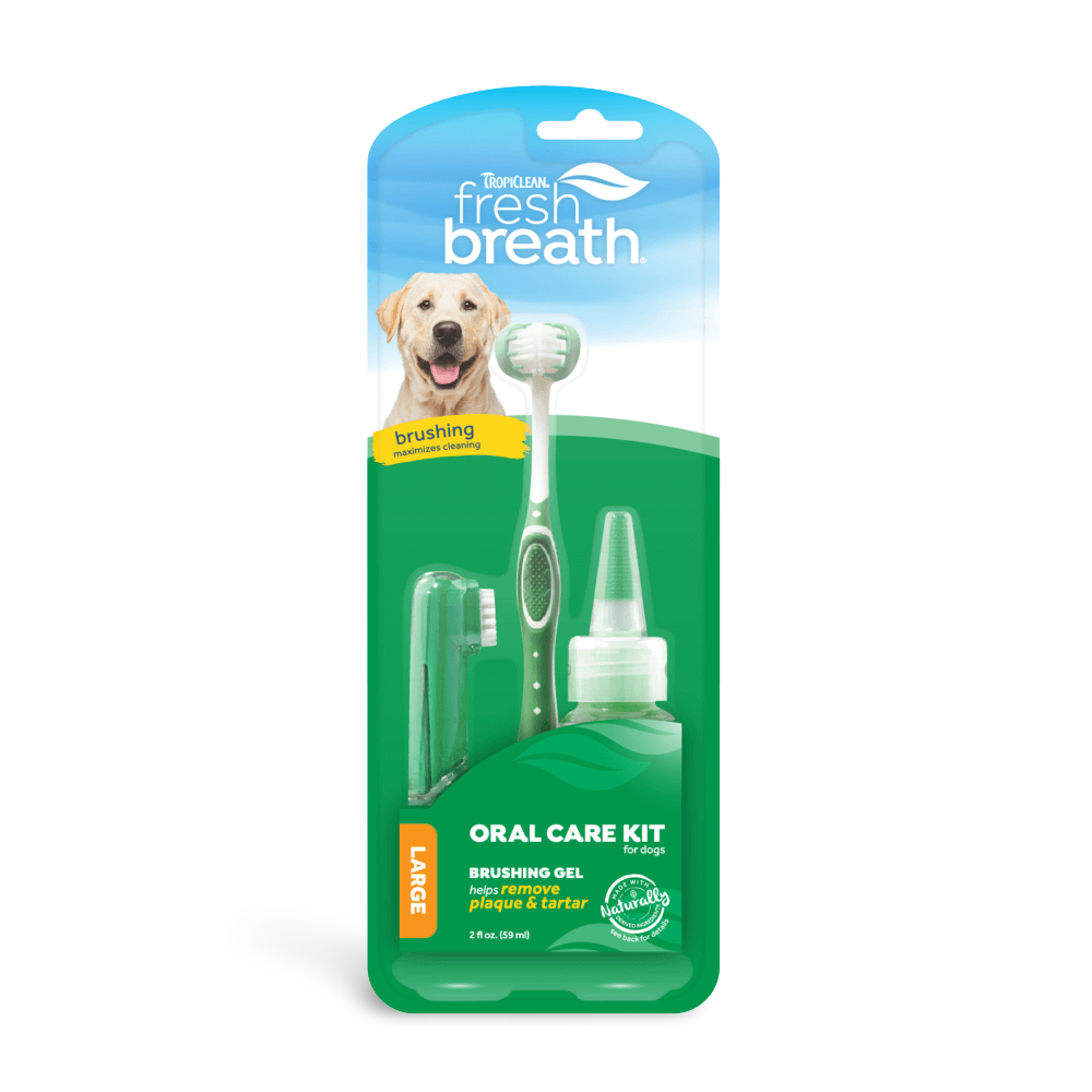 Oral Care Kit Large 1 Oral Care Kit Large