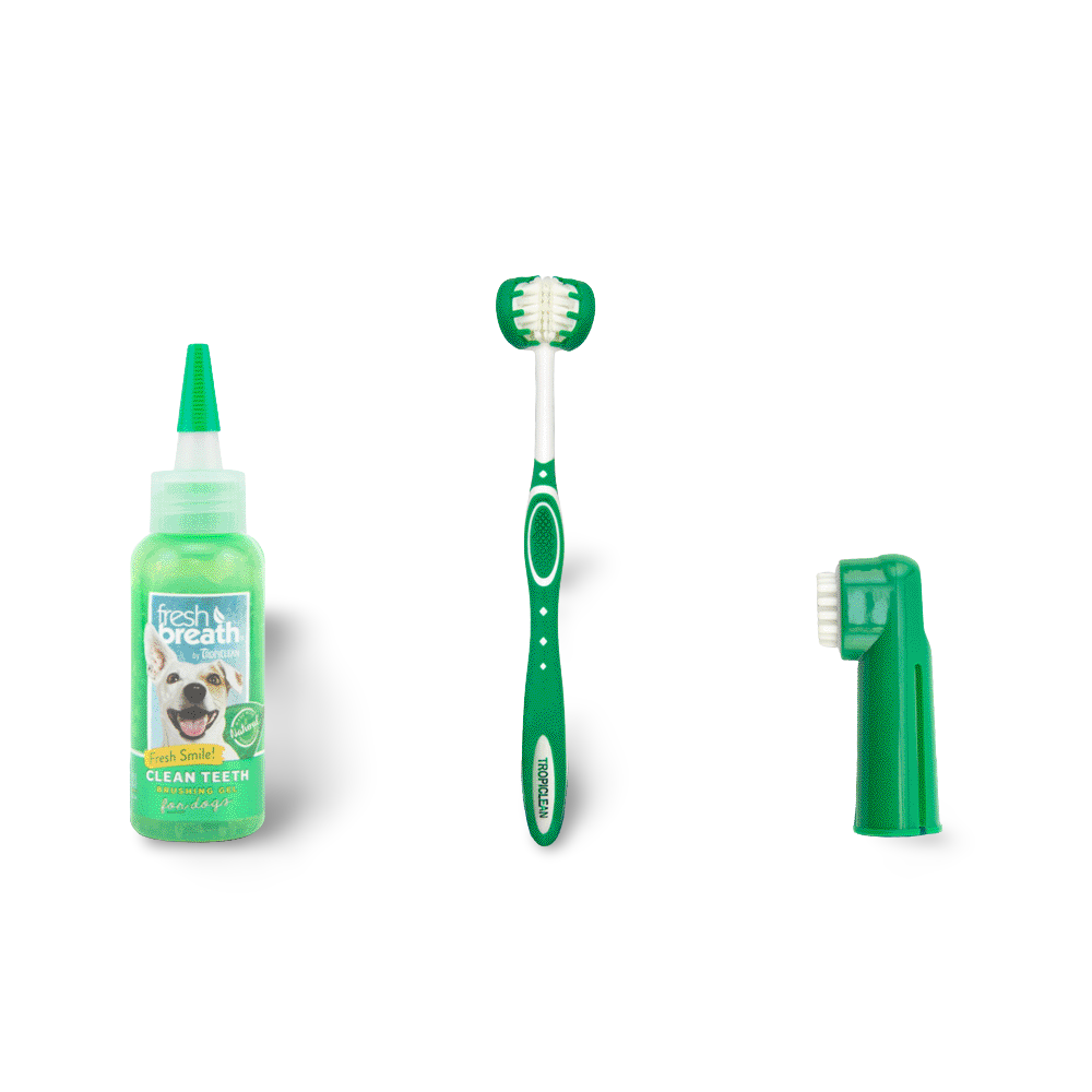 Oral Care Kit Large 3 Oral Care Kit Large