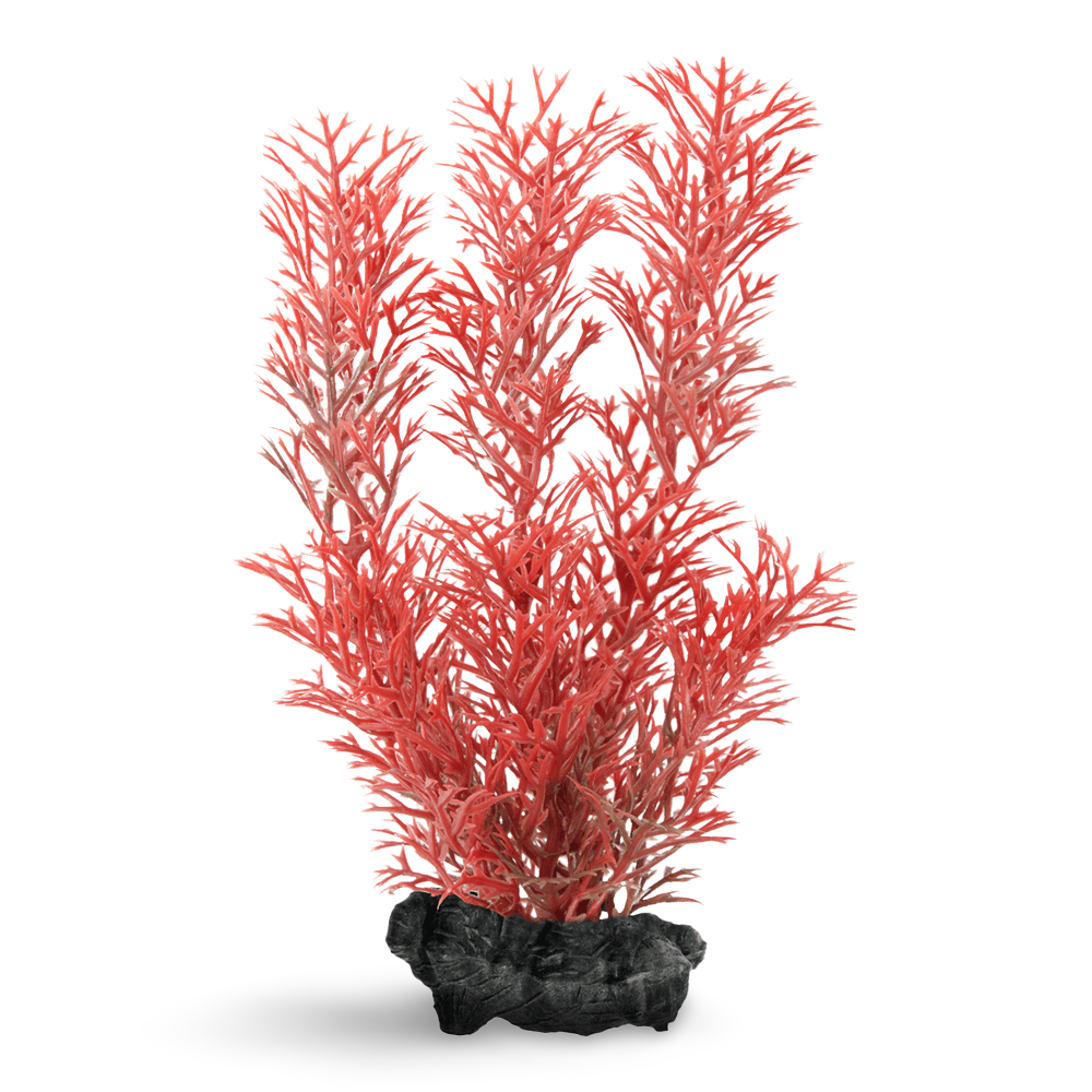 Decoart Plantastics Foxtail Red 1 Decoart Plantastics Foxtail Red