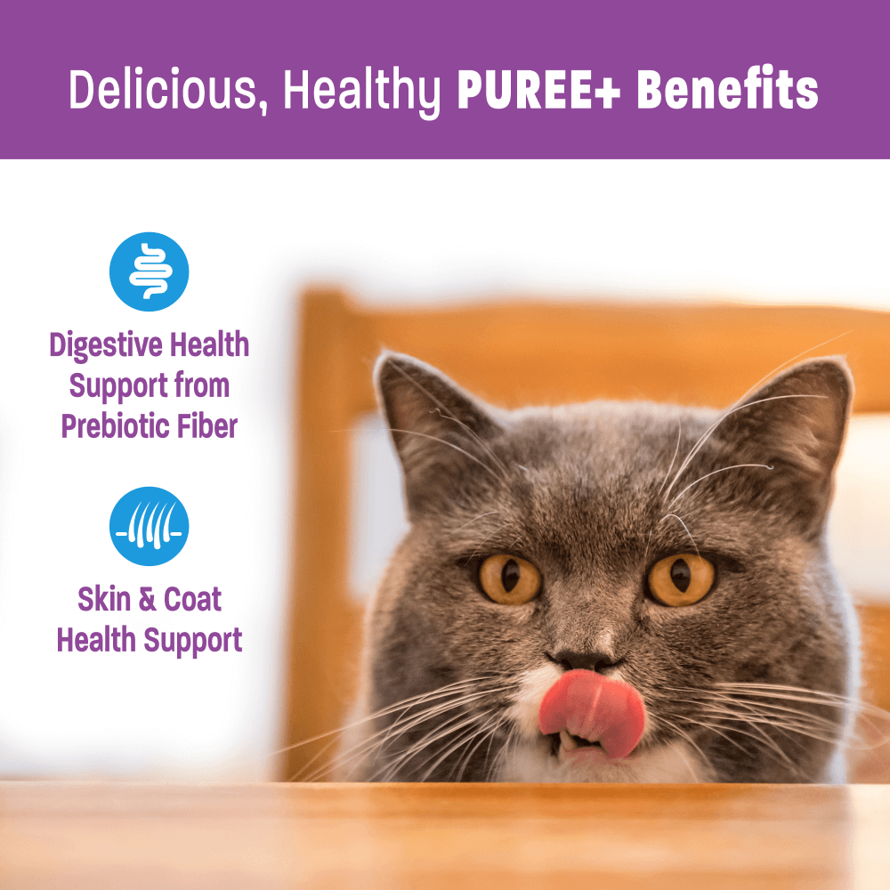 Grain Free Lickable Cat Treat Tuna Recipe 5 Grain Free Lickable Cat Treat Tuna Recipe