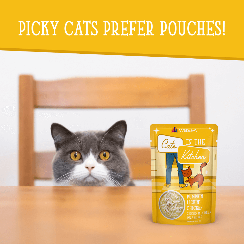 Chicken Breast In Pumpkin Soup Wet Cat Food Pouches 10 Chicken Breast In Pumpkin Soup Wet Cat Food Pouches