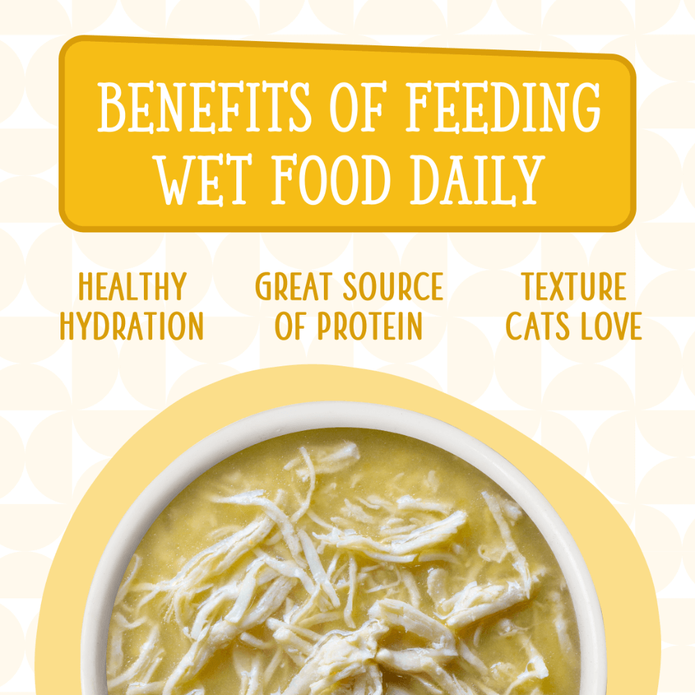 Chicken Breast In Pumpkin Soup Wet Cat Food Pouches 7 Chicken Breast In Pumpkin Soup Wet Cat Food Pouches