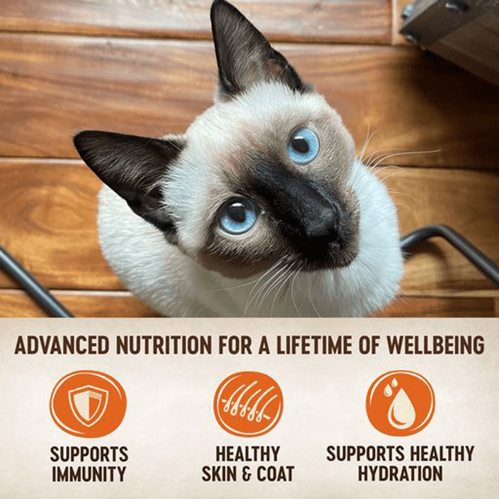 Core Tiny Tasters Poultry Pate Variety Pack Wet Cat Food 4 Core Tiny Tasters Poultry Pate Variety Pack Wet Cat Food