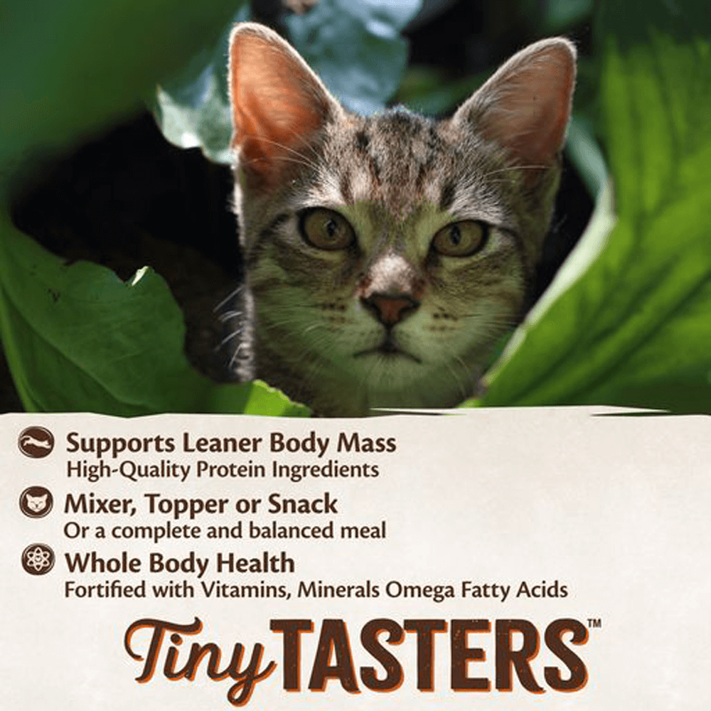 Core Tiny Tasters Poultry Pate Variety Pack Wet Cat Food 9 Core Tiny Tasters Poultry Pate Variety Pack Wet Cat Food
