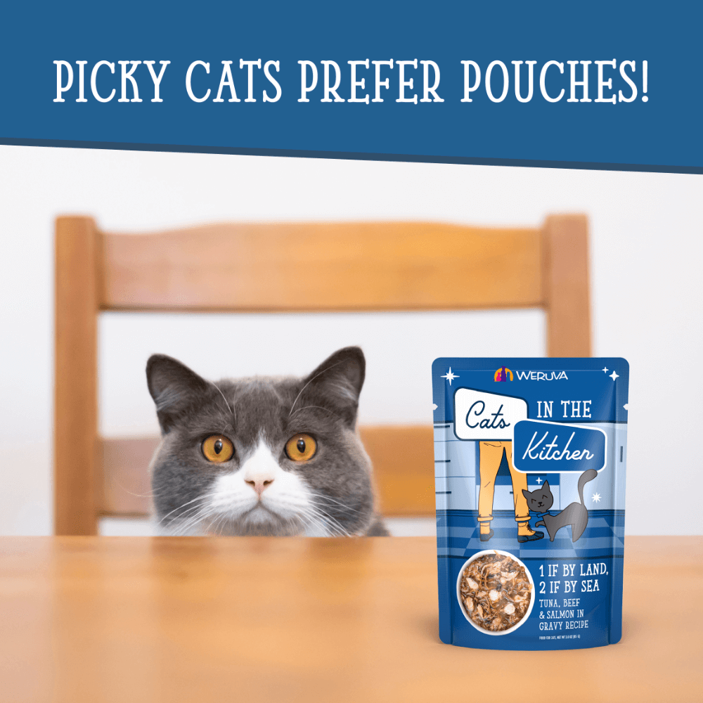 Tuna Beef And Salmon In Gravy Grain Free Wet Cat Food Pouches 10 Tuna Beef And Salmon In Gravy Grain Free Wet Cat Food Pouches