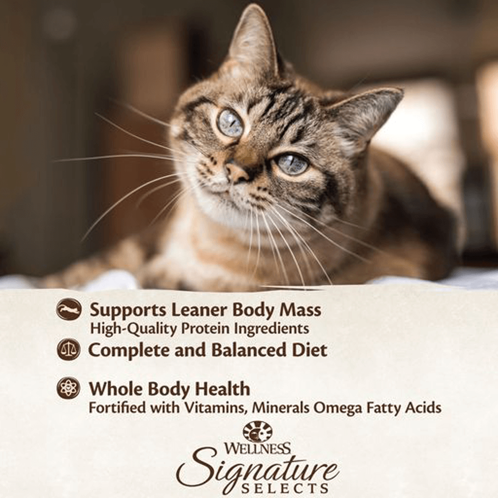 Signature Selects Pate Boneless Chicken And Beef Entree Wet Cat Food 11 Signature Selects Pate Boneless Chicken And Beef Entree Wet Cat Food